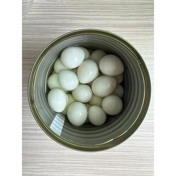 High Protein Fresh Table Eggs Brown And White Cooked 425g Canned Salted Quail Eggs