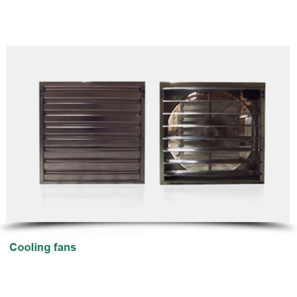 Сельскохозяйственная теплица для выращивания овощей, фруктов и цветов в любое время года