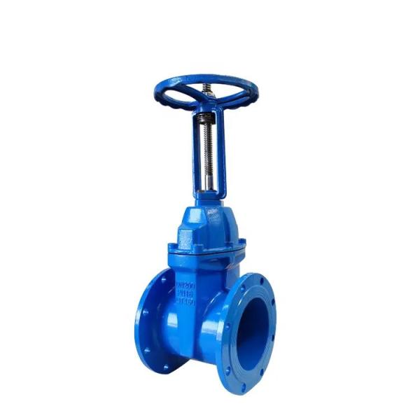 PN16 Soft Seal Rising Stem Gate Valve Z41X ANSI 150LB 304 316 Stainless Steel Cast Iron Flange Gate Valve