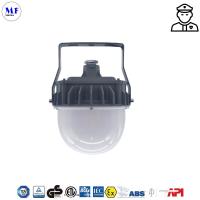 IP66 IK10 IEC Certificado 20W 40W 60W Luz à prova de explosão apagável para estação de bombeamento de navios oceânicos