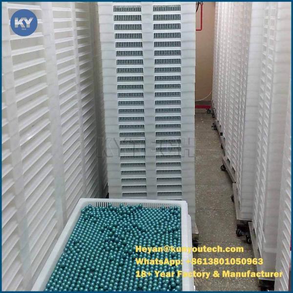 Food Grade Plastic Drying Tray
