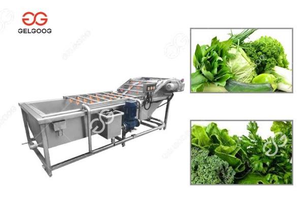 Ce Certified Stainless Steel Fruit Processing Machine Fruit Mango Apple Washing Machine
