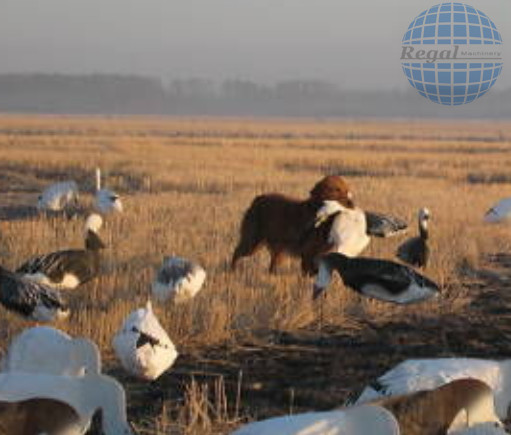 snow goose wind sock decoys, OEM tyvek decoys head