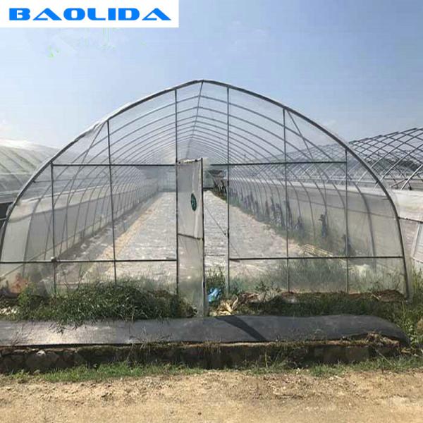 Парник изготовленного на заказ хорошего тоннеля стабильности пластиковый с рамкой парника металла