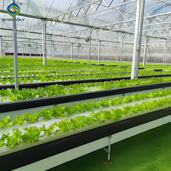 High Yield Large Vertical Hydroponic Greenhouse Soilless Cultivation