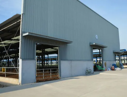 Automated Feeding & Watering Systems with Smart Climate Control for Durable & Hygienic Steel Poultry House Equipment