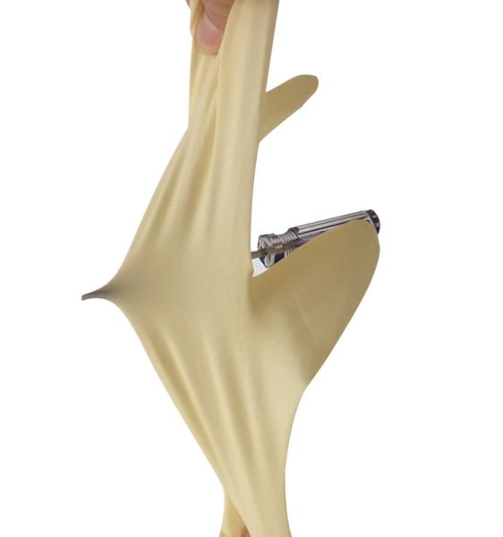 Economical Powder Free Disposable Latex Gloves Economical Powder Free Disposable Latex Gloves
