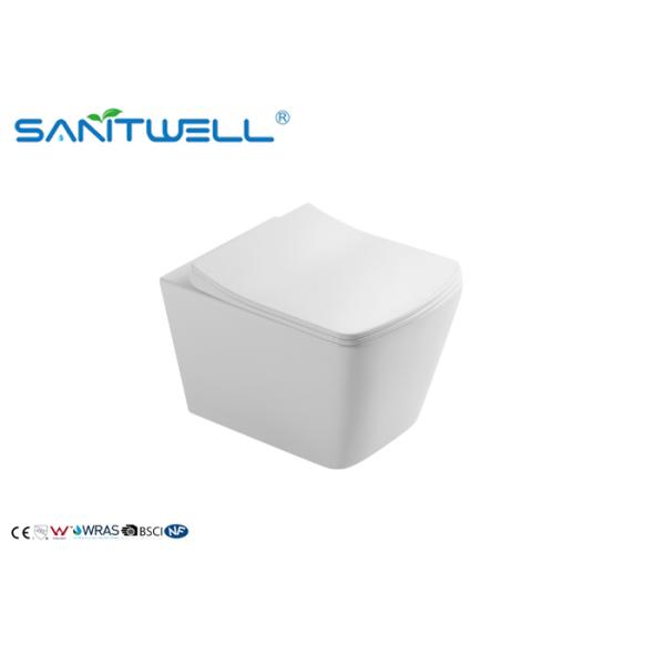 SWM9310 Commercial Washdown Rimless Toilet With UF Seat Cover Wall Hung Toilet