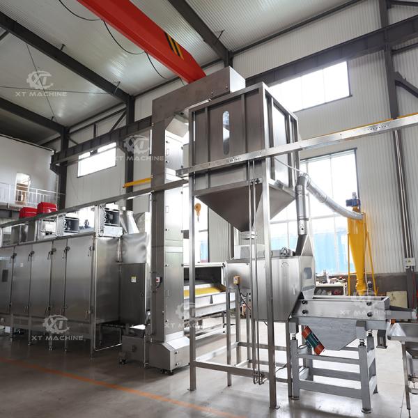 Customizable PLC Controlled Roasted Peanut Blanching Machine for High Capacity Production