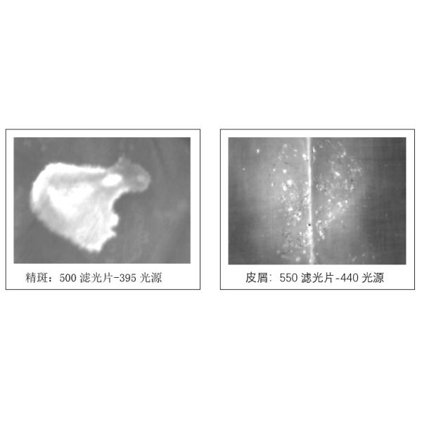 P001 BTKG-I Reflected ultraviolet imaging system