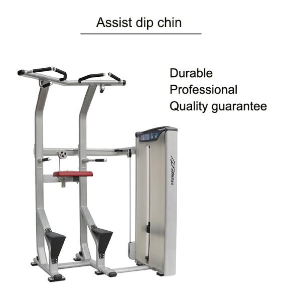 Assisted Dip Chin Strength Training Machine , Professional Matrix Bodybuilding Equipment