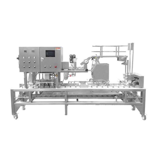 Aferidor plástico contínuo de Tray Sealing Machine Tray Heat do alimento 3.5KW para o supermercado