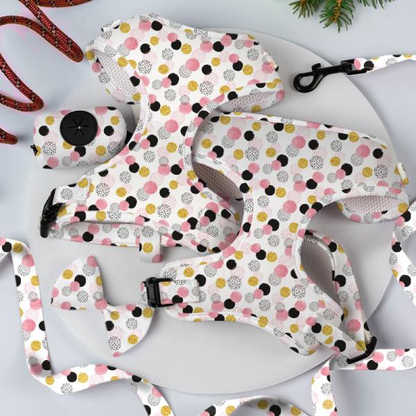 XS Dog Harness And Leash Set Sublimation Decoration Scarf Cat Harness Set