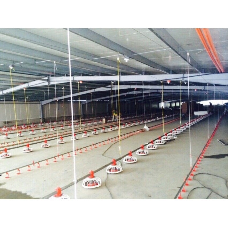 Prefabricated Steel Structure Chicken House / Poultry Farm House
