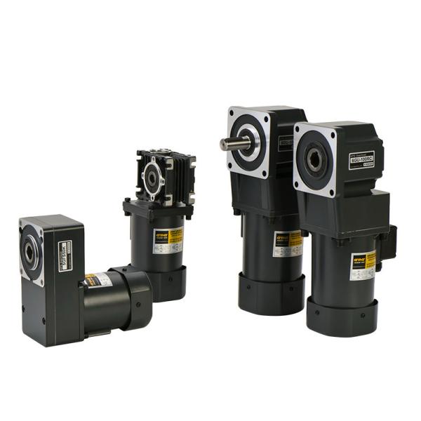 Мотор 4rk30gn-C 4gn60k турникета Gearmotors Ac барьера изготовленный на заказ