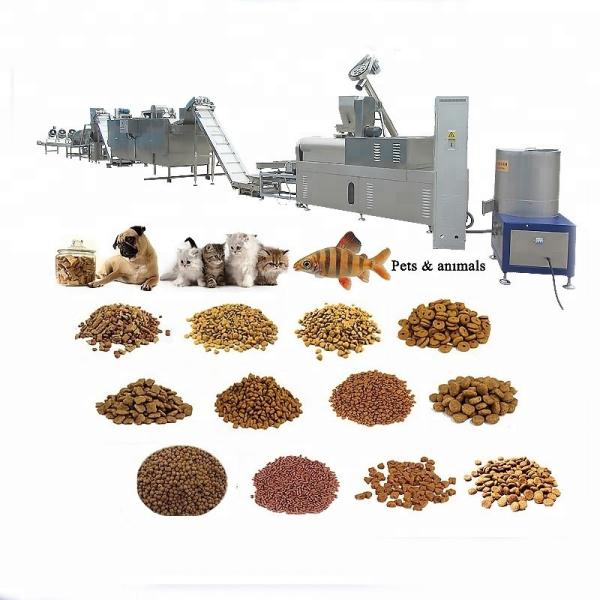 220v/380v/50Hz Double Screw Pet Food Pellet Making Extruder Processing Equipment Manufacturing Plant Machine