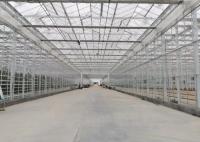 Green Plant Garden Tempered Glass Greenhouse For Large Ornamental Flowers