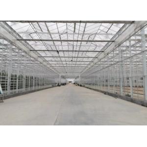 Continuous-span plastic greenhouse for vegetable cultivation