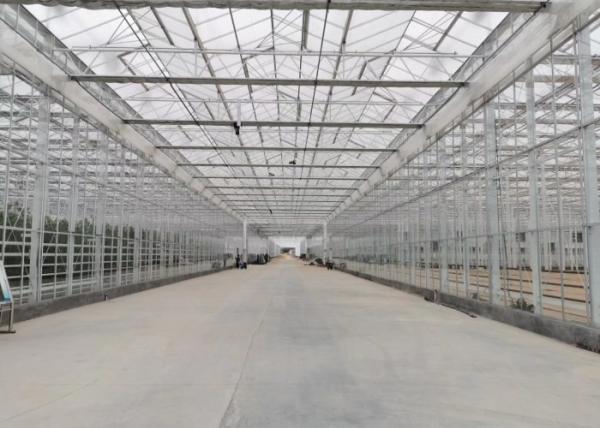 Green Plant Garden Tempered Glass Greenhouse For Large Ornamental Flowers