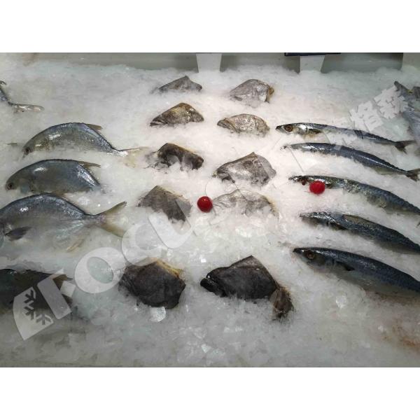 2200*1050*1550 мм Флейковый ледоколь Машина для охлаждения воды для рыболовных судов