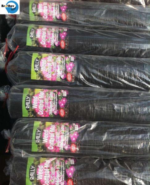 High Quality UV Treated Gardening Flower Weed Control Ground Cover Woven Fabric