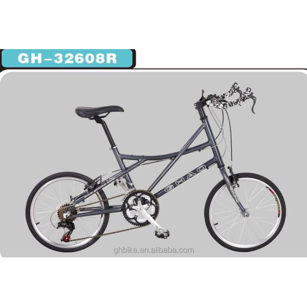 14 Speed 20 inch Mini Road Bike Bicycle with Double Wall Aluminium Rim and Foldable