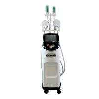 4500W puissante machine de sculpture de corps de réduction de graisse par cryolipolyse pour les studios professionnels