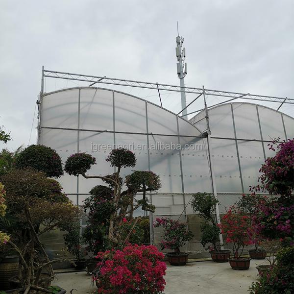 IGreen Tunnel Strawberry Greenhouses for Sale Price of M2 Agricultural Greenhouse