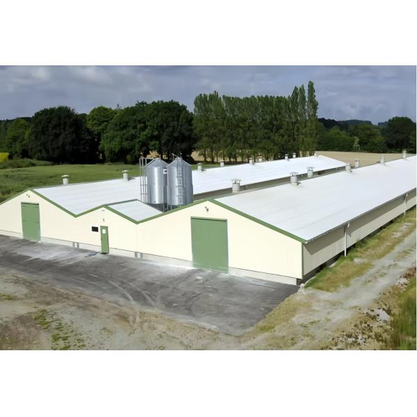 Fácil de instalar barras de pollo de plástico para equipos de ganadería