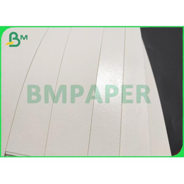 280gsm Poly Coated Cup Paper Material Single Or Double Poly Coating
