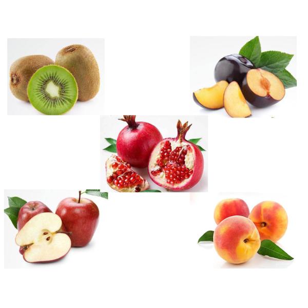 SS304 Industrial Bubble Vegetable And Fruit Washing Machine