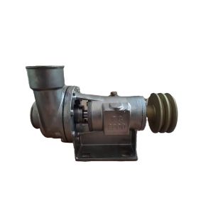 Sea Water Pump