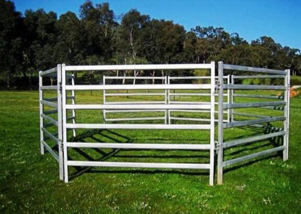 Pre Hot Dipped Galvanized Sheep Cattle Panels Livestock Fence Panels 5Rails With Oval Tube 30X60MM