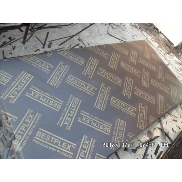 brown/black Film faced plywood with poplar core