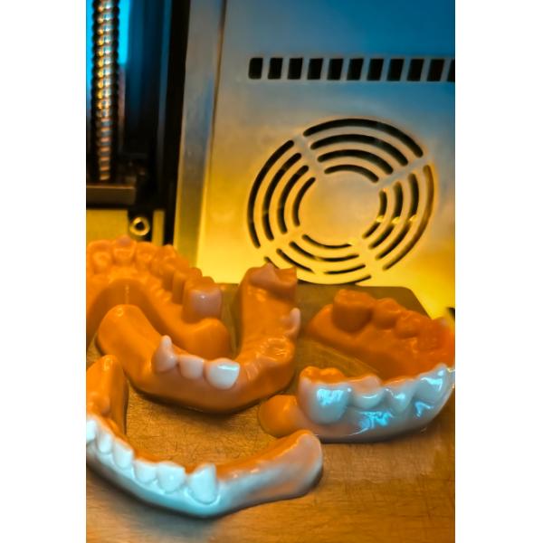 Model Resin Dental Laboratory Procedures Chemical Resistance Dimensional Stability