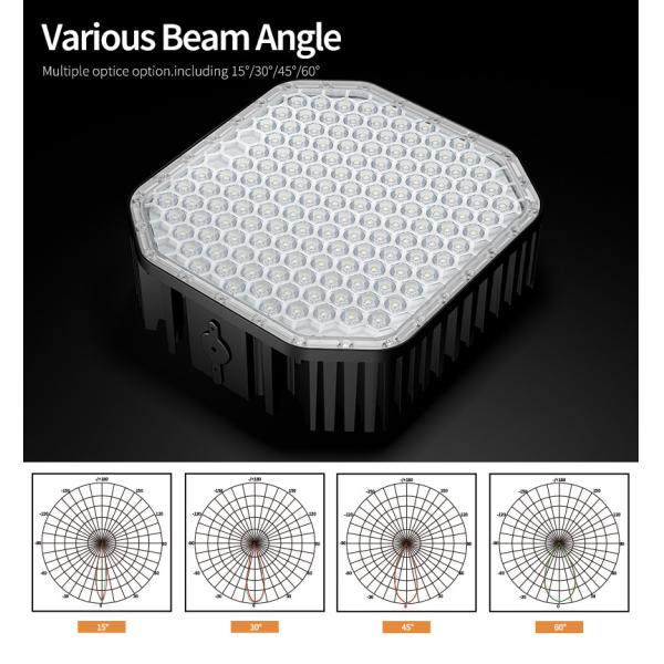 600W LED Sport Court Light IP67 3000K-6500K 100-277V