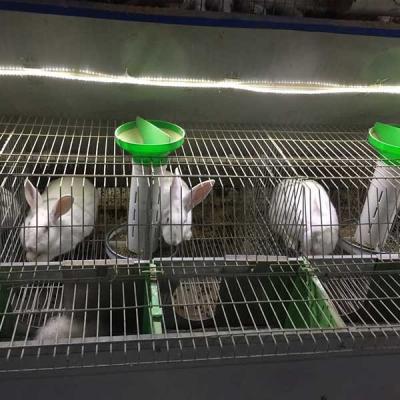 Silver / Green Commercial Rabbit Cages , Labor Saving Indoor Rabbit House