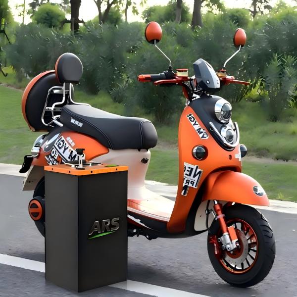 48V 30Ah 40Ah Portable Lithium Battery For Electric Bike Custom BMS