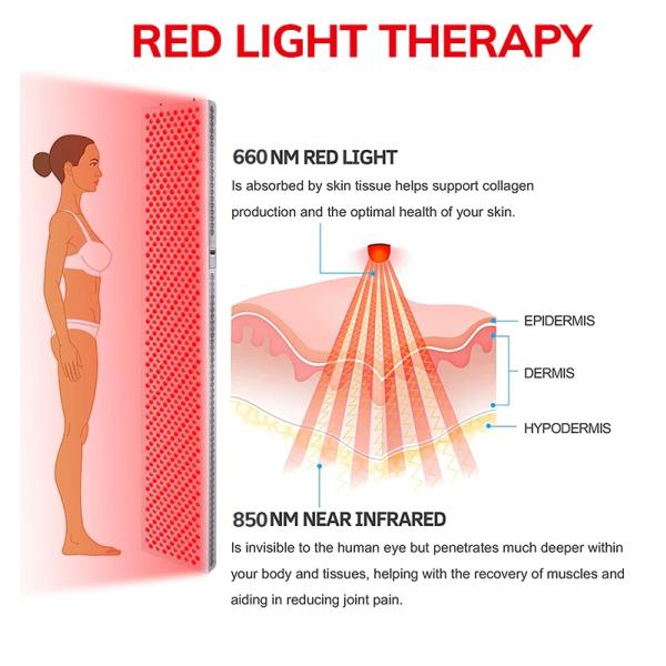 Здоровье Уход за кожей Красный свет Панель терапии Стоянка фитнеса Инфракрасное освещение Устройство