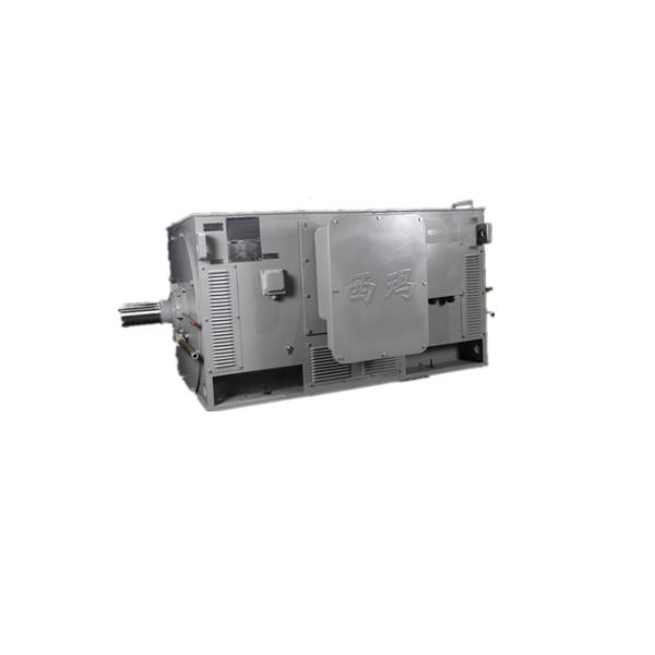 IP23 High Efficiency 3 Phase Induction Motor Y 3551-2 220kW 6kV