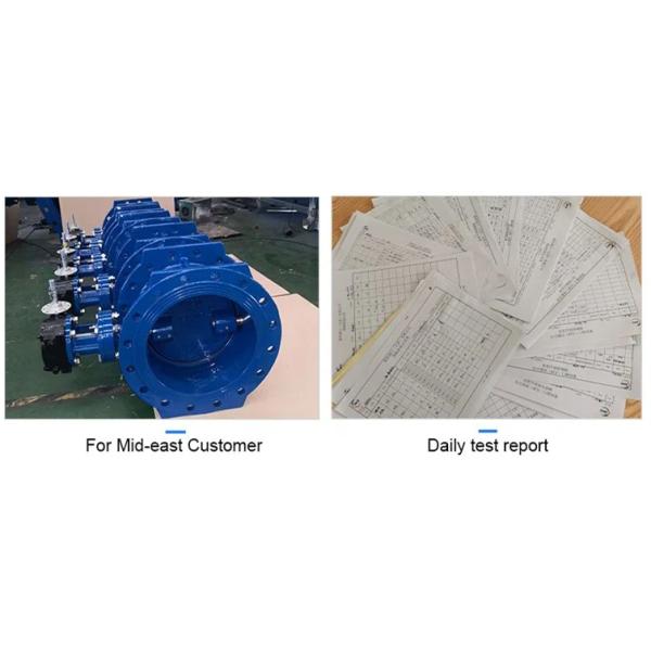 Полное свидетельство Бабочья клапан DIN BS JIS Flange DI CI WCB корпус двойной фланцевой клапан