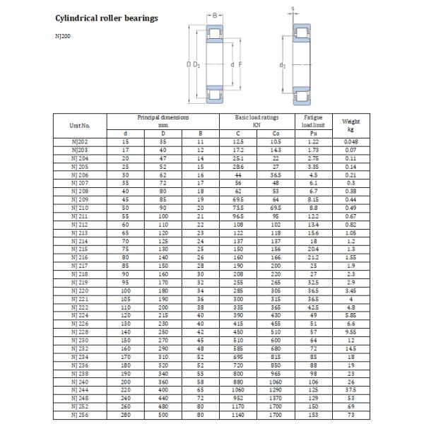 Single Row Cylindrical Roller Bearing NJ230 NJ240 NJ200 Series