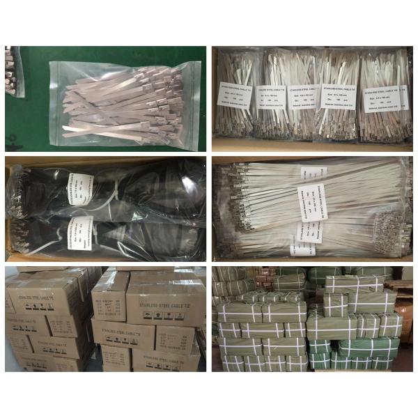 Heavy Duty Stainless Steel Cable Ties Self Locking 10 Inch Zip Ties 50pcs / Pkt