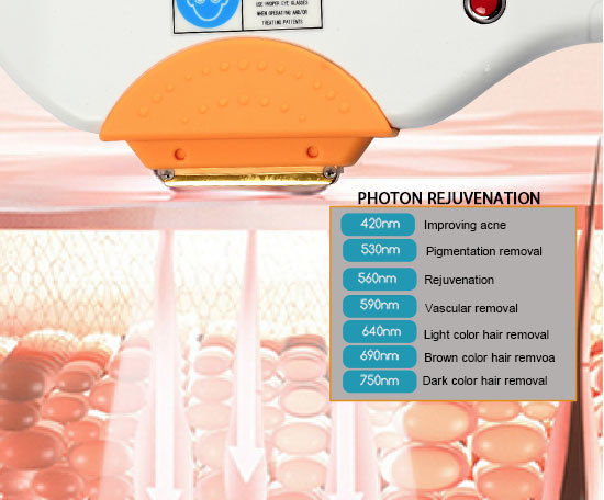 9 In 1 Multifunctional Beauty Machine 1064nm 532nm 1320nm Yag Laser