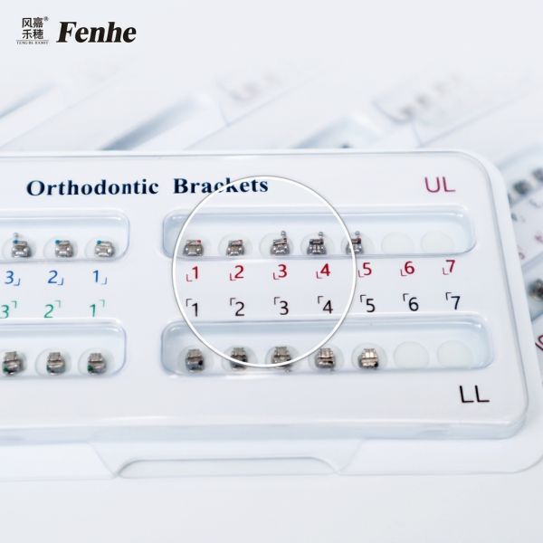Dental Orthodontic Brackets with Roth and MBT Base Types for Simple Operation and 0.018/0.022 Slot Sizes