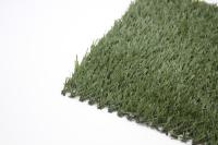 Système hybride stable artificiel synthétique d'herbe de terrains de football