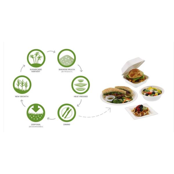 Салатница сахарного тростника Eco дружелюбная устранимая для хранения еды