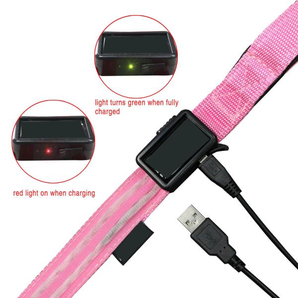 Double Optical Fiber LED Light Up Dog Leash 2 Lighting Modes With Flashlight
