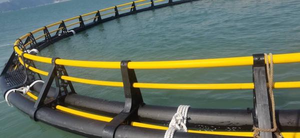 Acuicultura Agricultura Jaula de peces flotante de HDPE con alta tasa de abastecimiento