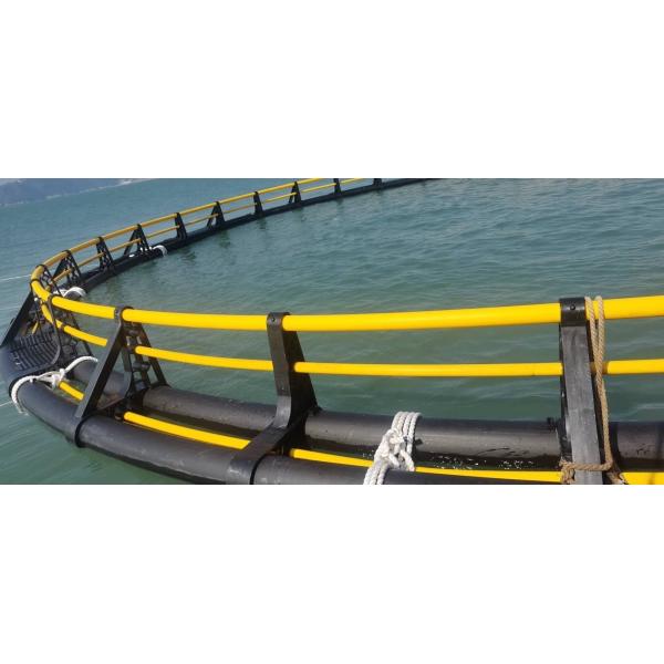 Round HDPE Aquaculture Marine Cage for Bass Cultured Environmentally Friendly